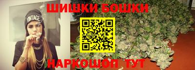 крисы Камышлов