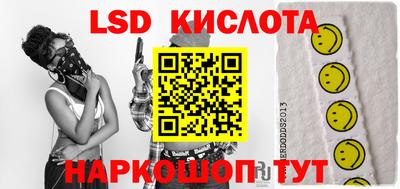 крисы Камышлов