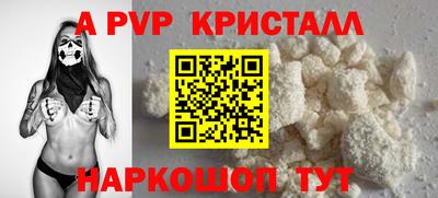 крисы Камышлов