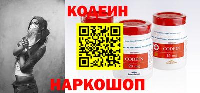 крисы Камышлов