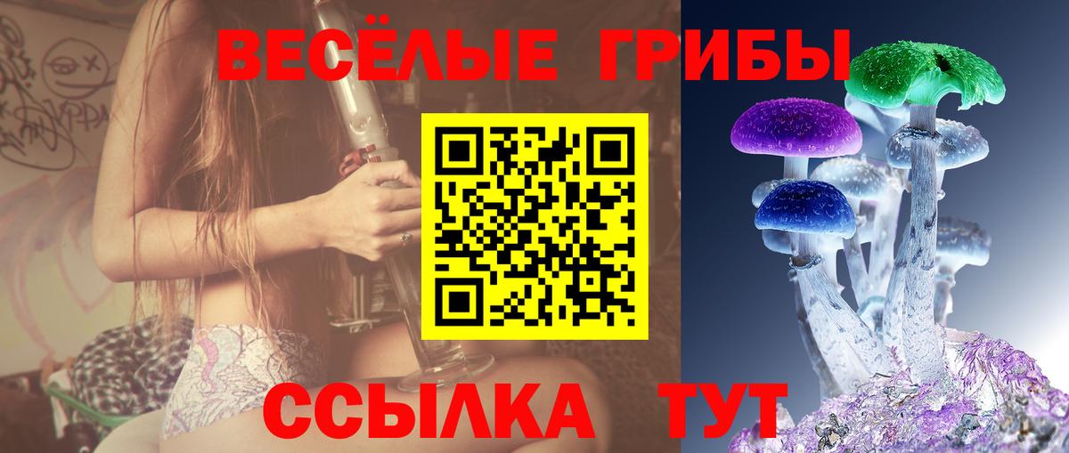 Псилоцибиновые грибы Psilocybine cubensis Кингисепп